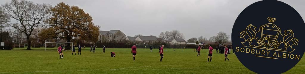 Queen Elizabeth II Playing Fields Pitch 2